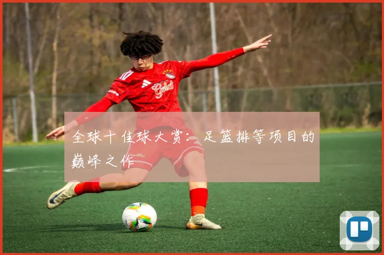 全球十佳球大赏:足篮排等项目的巅峰之作