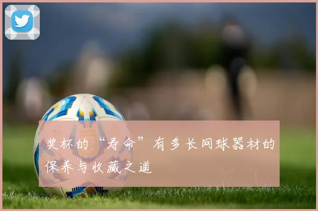 奖杯的“寿命”有多长网球器材的保养与收藏之道