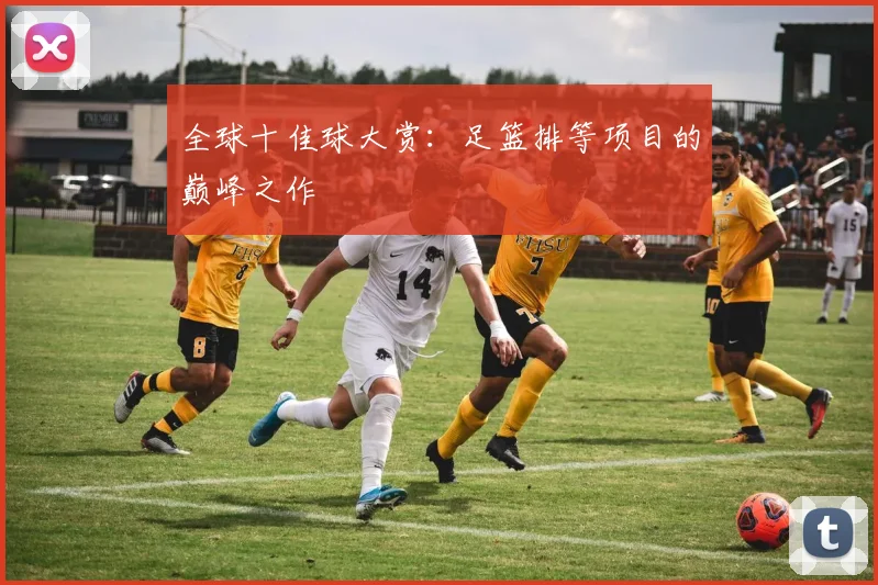 全球十佳球大赏:足篮排等项目的巅峰之作