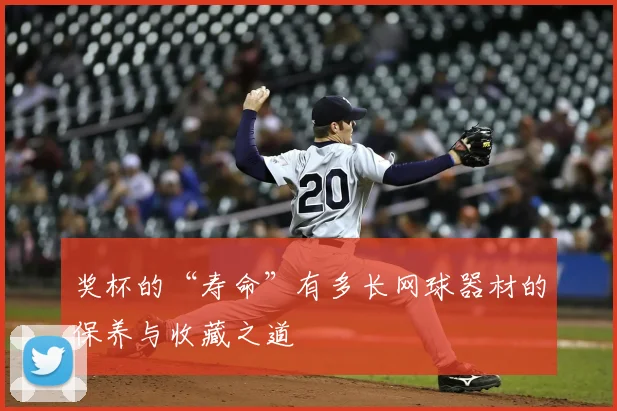 奖杯的“寿命”有多长网球器材的保养与收藏之道